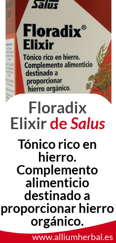 Floradix 250 jarabe de Salus fuente de hierro